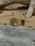 Jonc coquillage