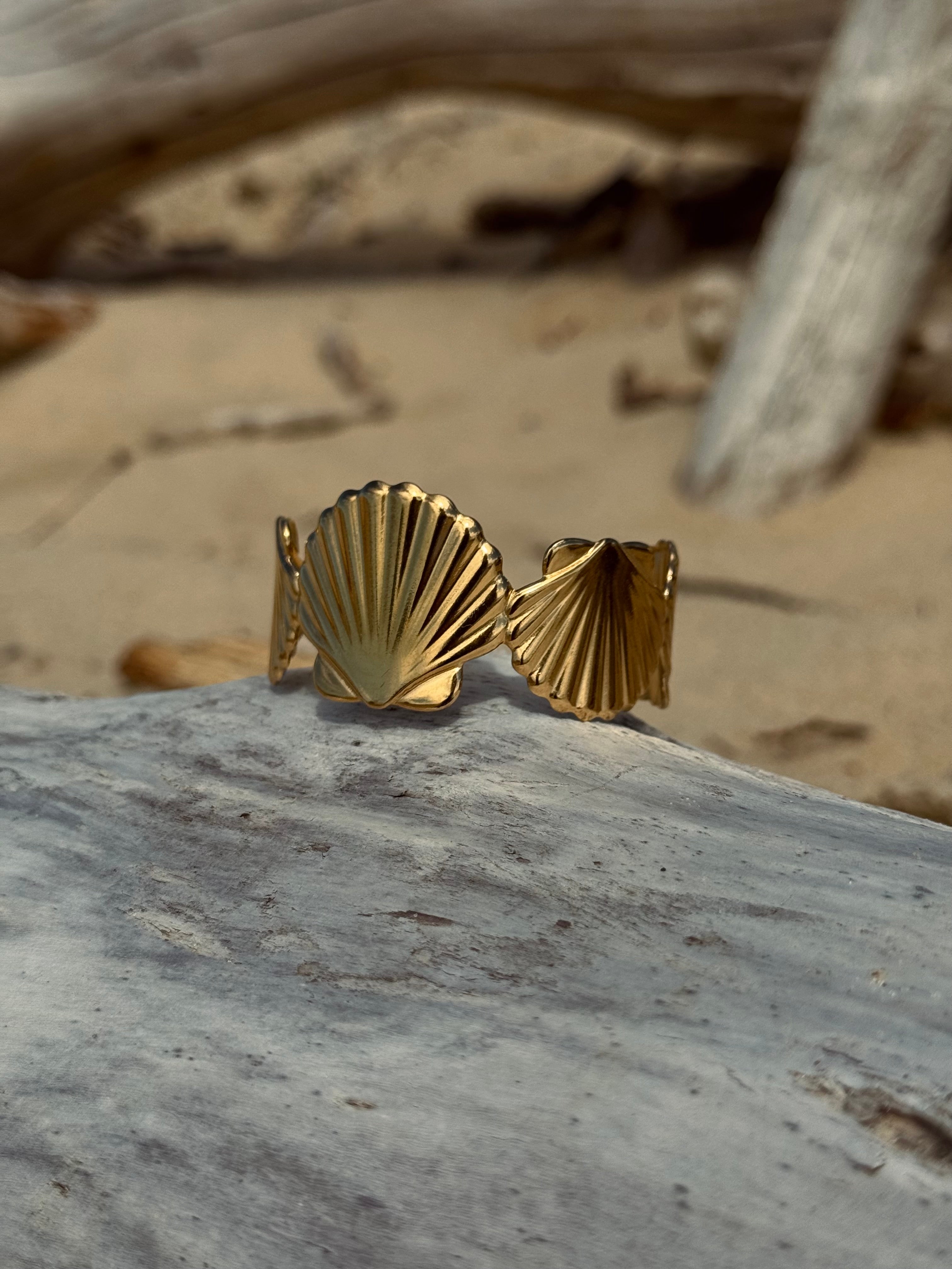 Jonc coquillage