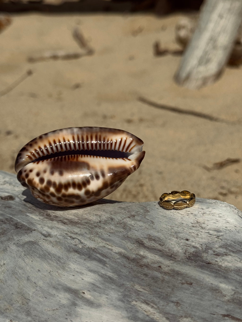 Bague Cori en acier inoxydable