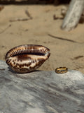 Bague Cori en acier inoxydable