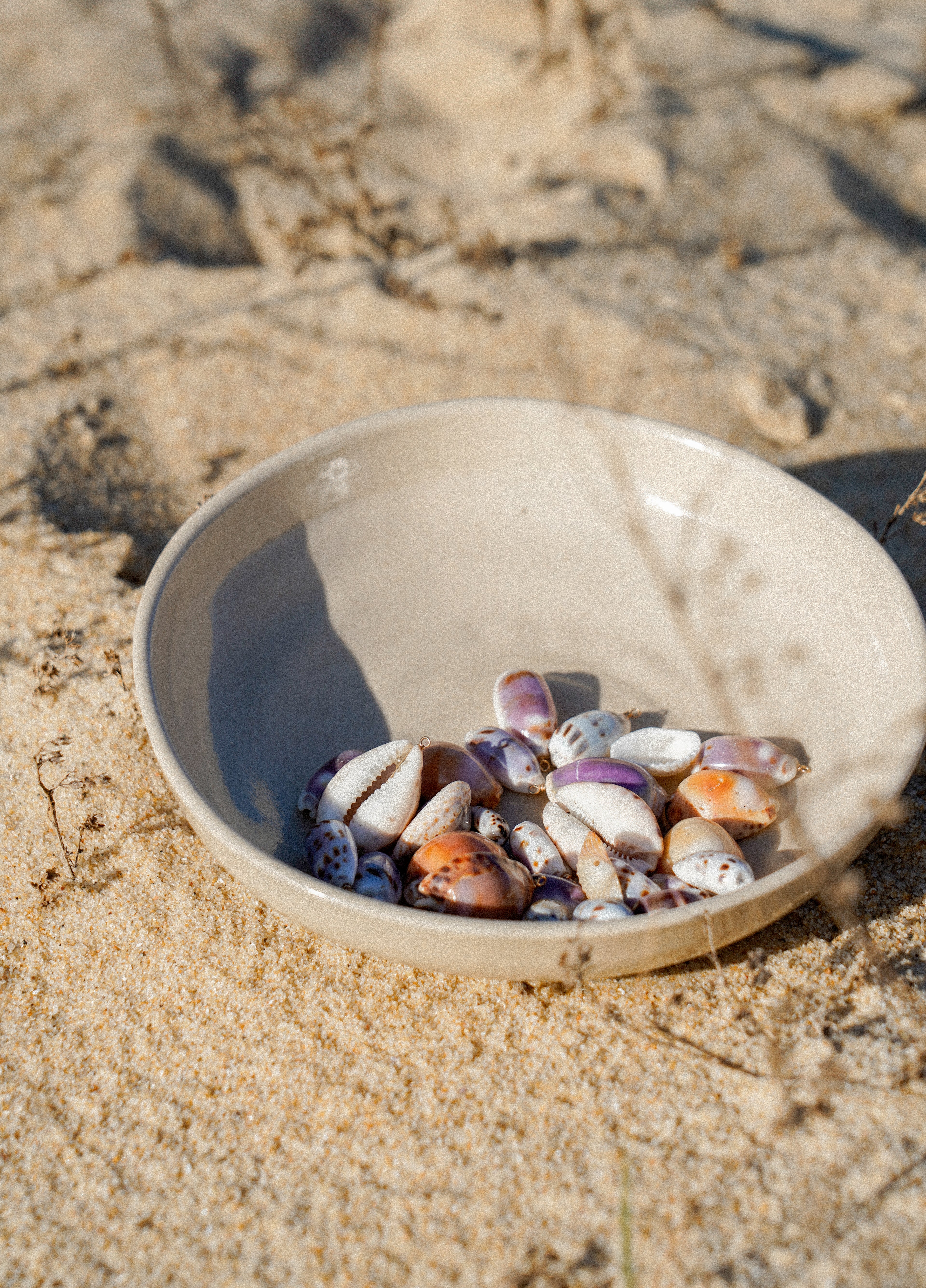 Collier Coquillage