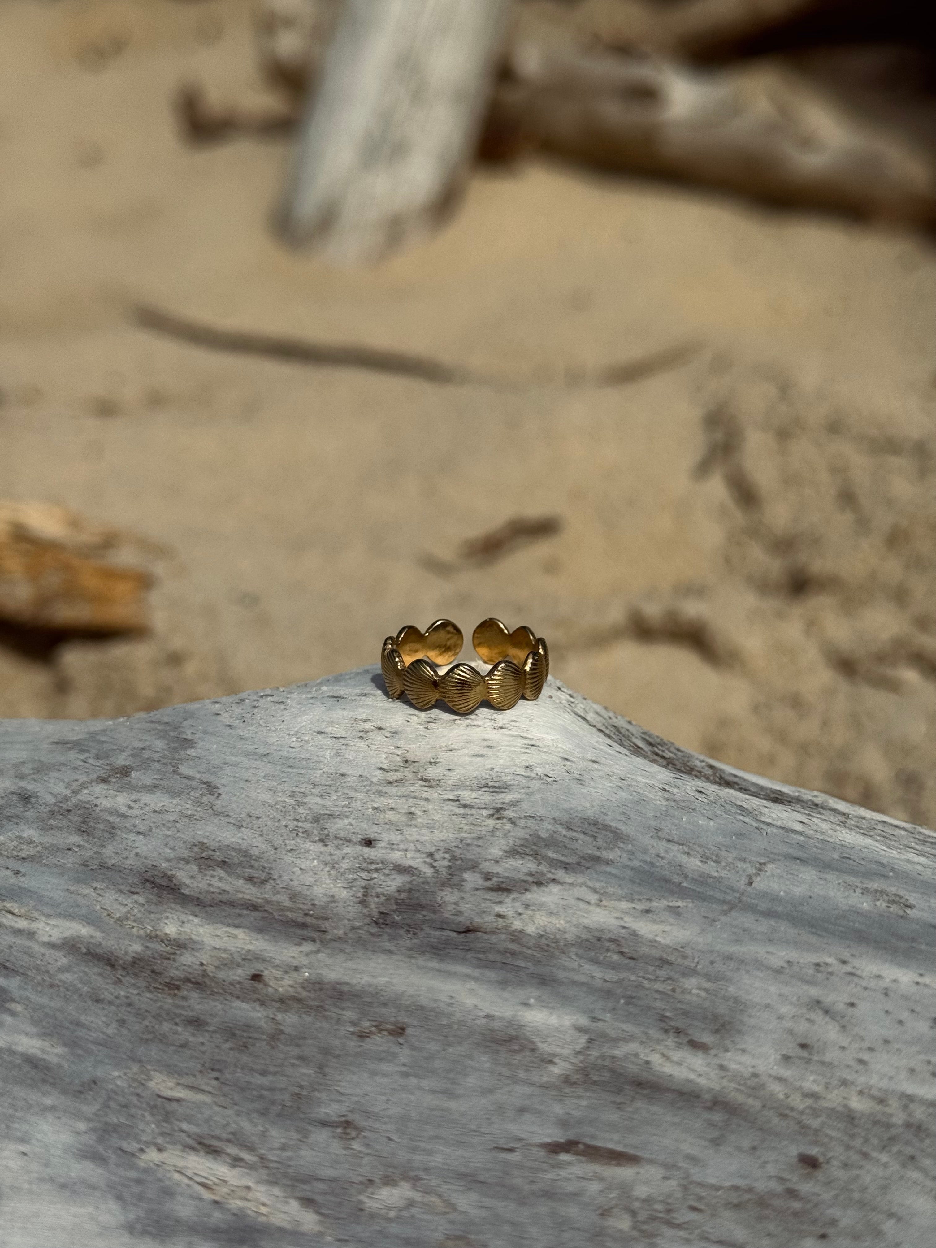 Bague Coquillage en acier inoxydable