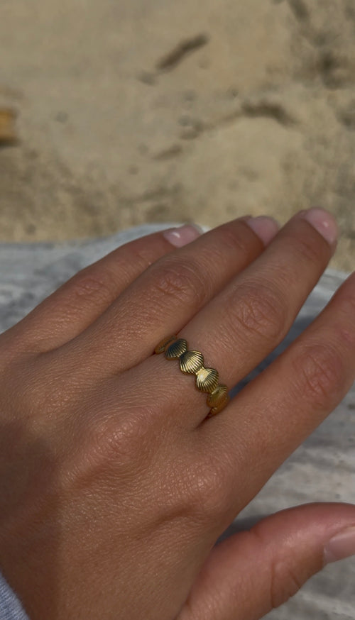Bague Coquillage en acier inoxydable
