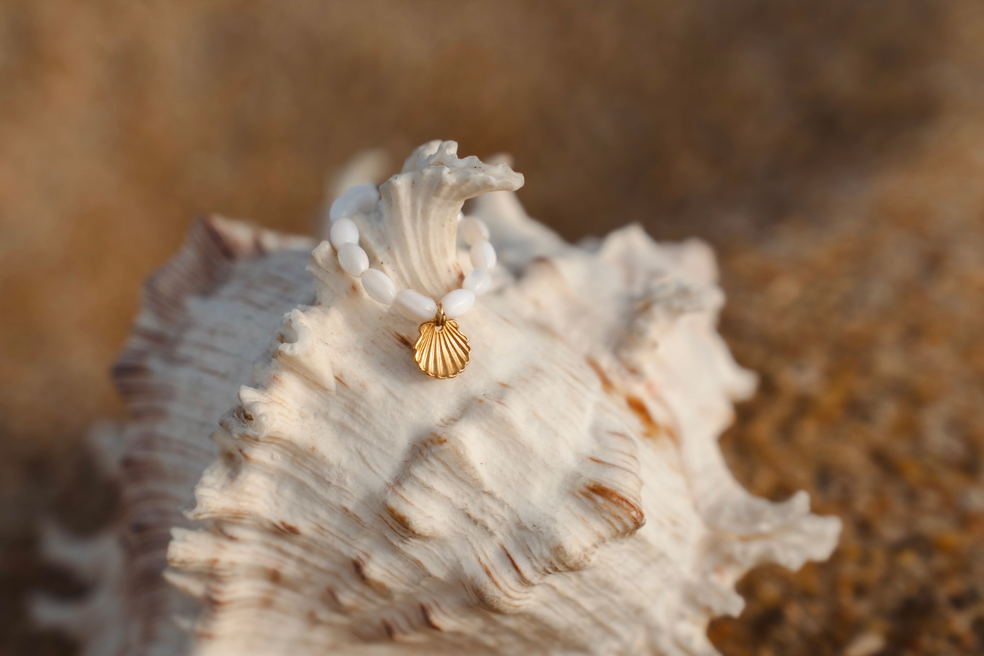 Bague élastique Coquillage